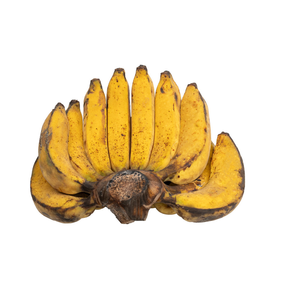 Pisang Raja / Raja Banana