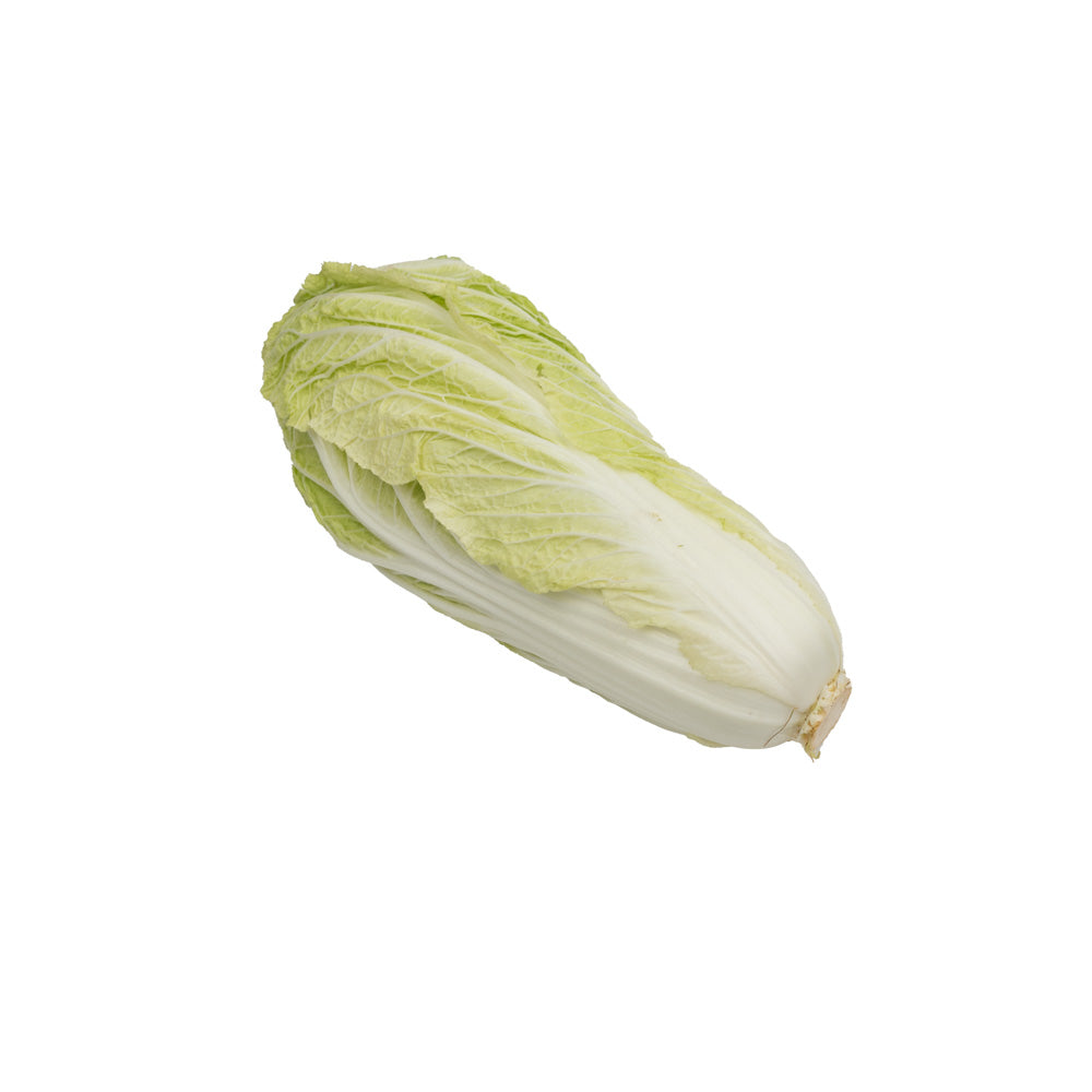 Sawi Putih / Chinese Cabbage