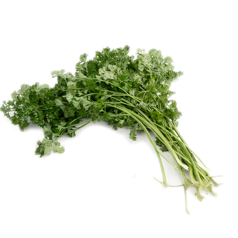 Daun Peterseli Kurly / Curly Parsley 50gram