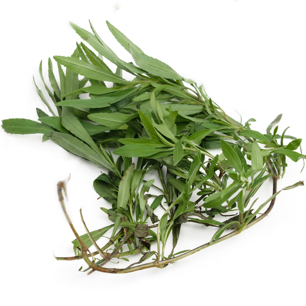 Daun Taragon / Tarragon Leaf 50gram