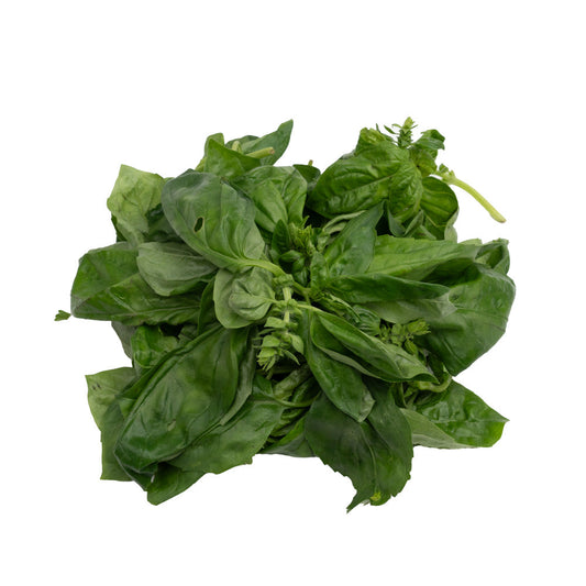 Kemangi Itali / Italian Basil 50gram