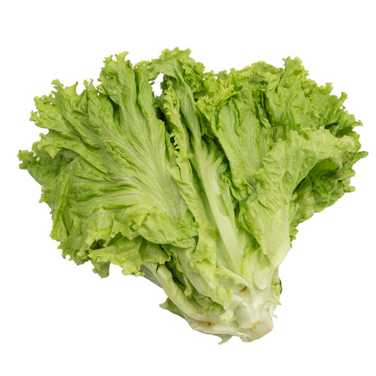 Selada Hijau Keriting / Green Curly Lettuce / Lollo Bionda 300gram