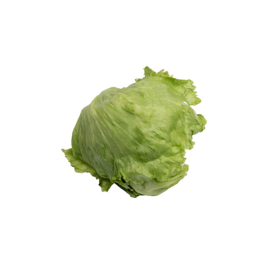 Selada Iceberg / Iceberg Lettuce