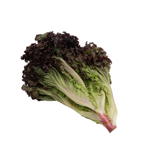 Selada Merah / Red Lettuce 300gram