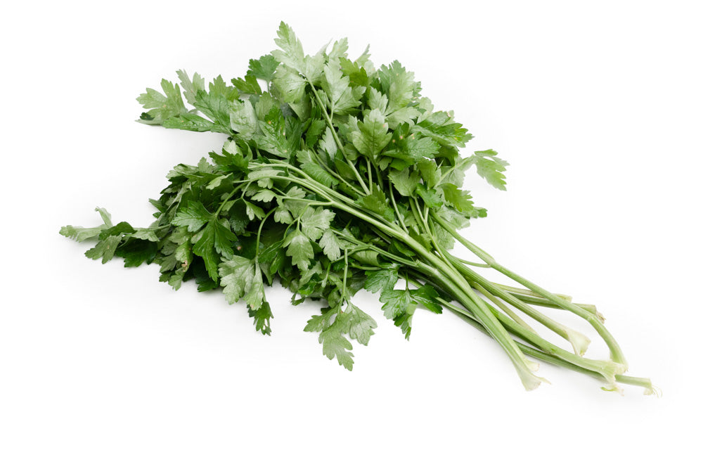 Seledri Lokal / Local Celery 50gram