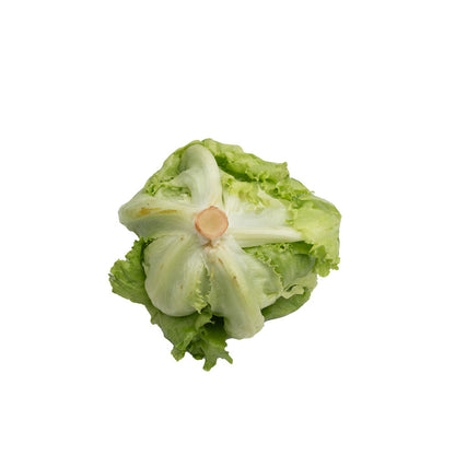 Kembang Kol / Cauliflower
