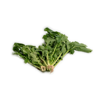 Daun Rucola / Arugula Rucola (Rocket) 100gram