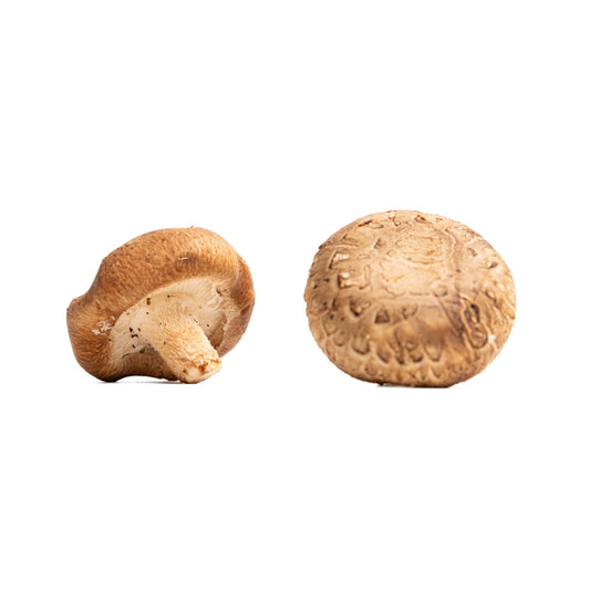 Jamur Kancing / Button or Champignon Mushroom