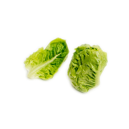 Selada Romana Muda / Baby Romaine Lettuce 300gram