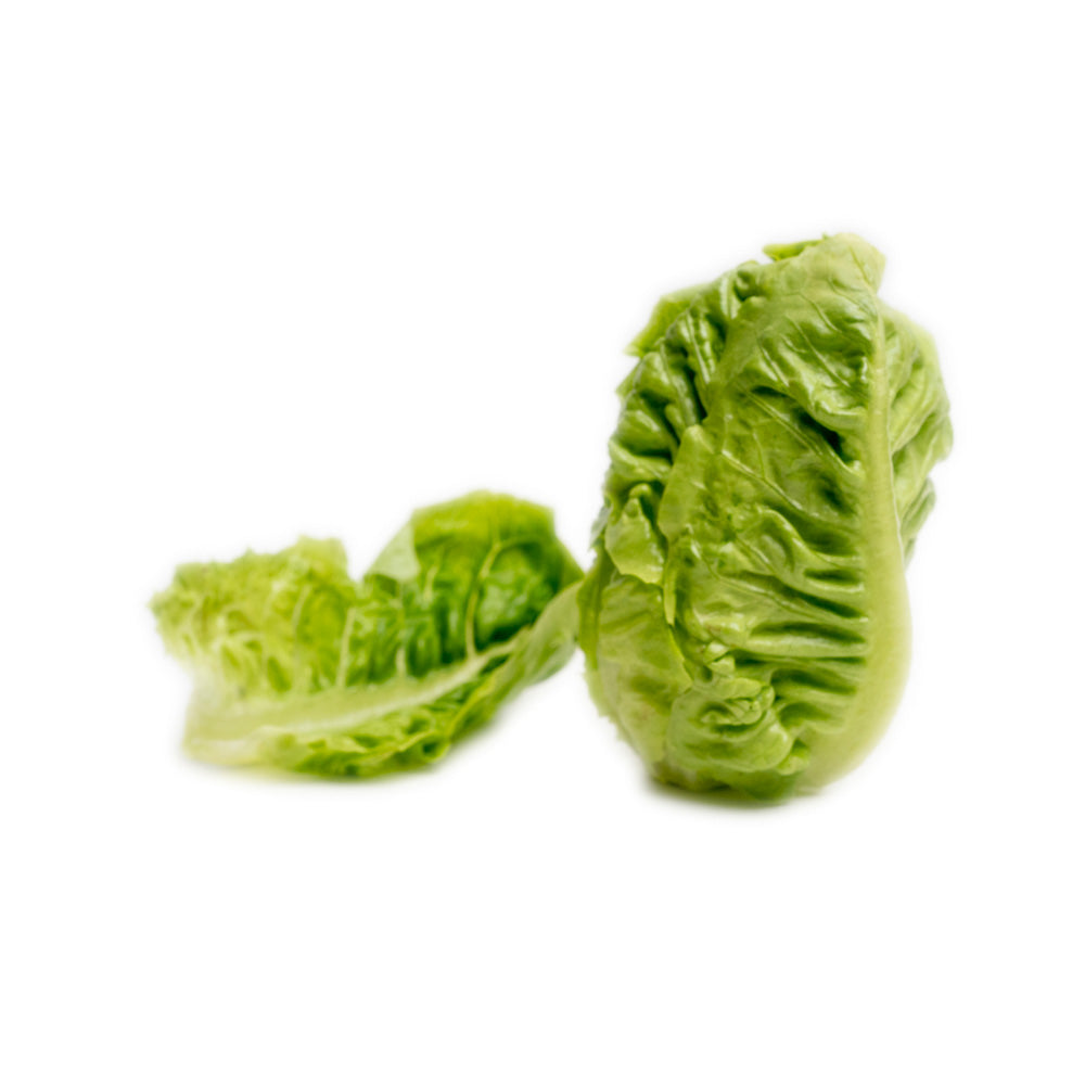 Selada Romana Muda / Baby Romaine Lettuce 300gram