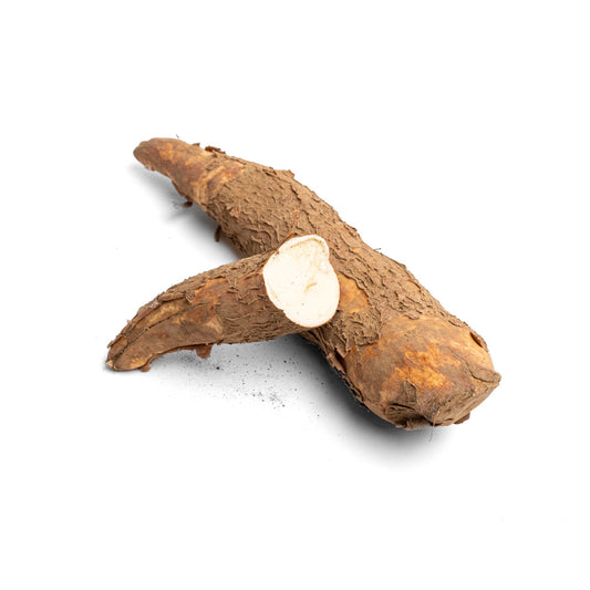 Akar Singkong / Cassava Root