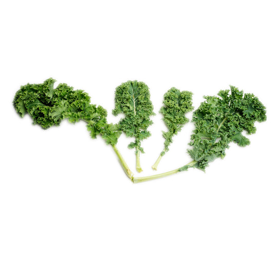 Daun Kale Scotch Curly / Curly Scotch Kale