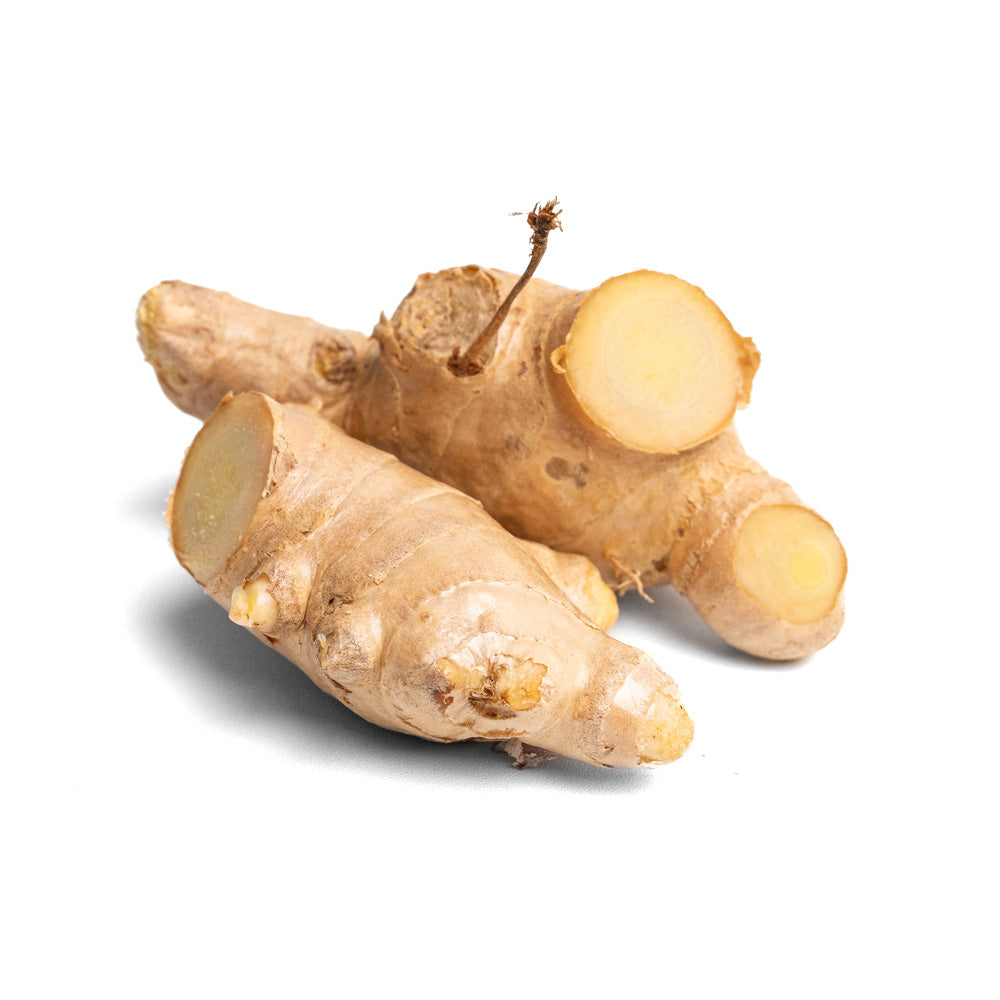 Jahe Putih / White Ginger