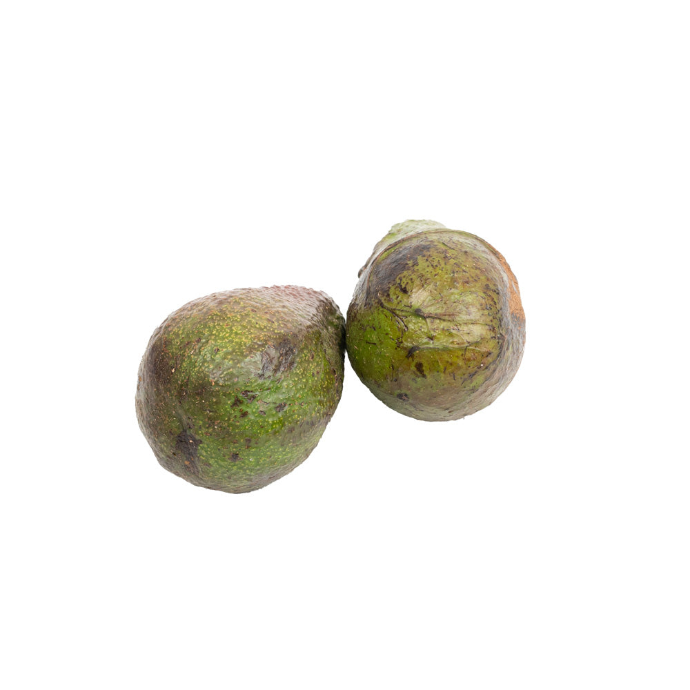 Alpukat Reguler / Regular Avocado