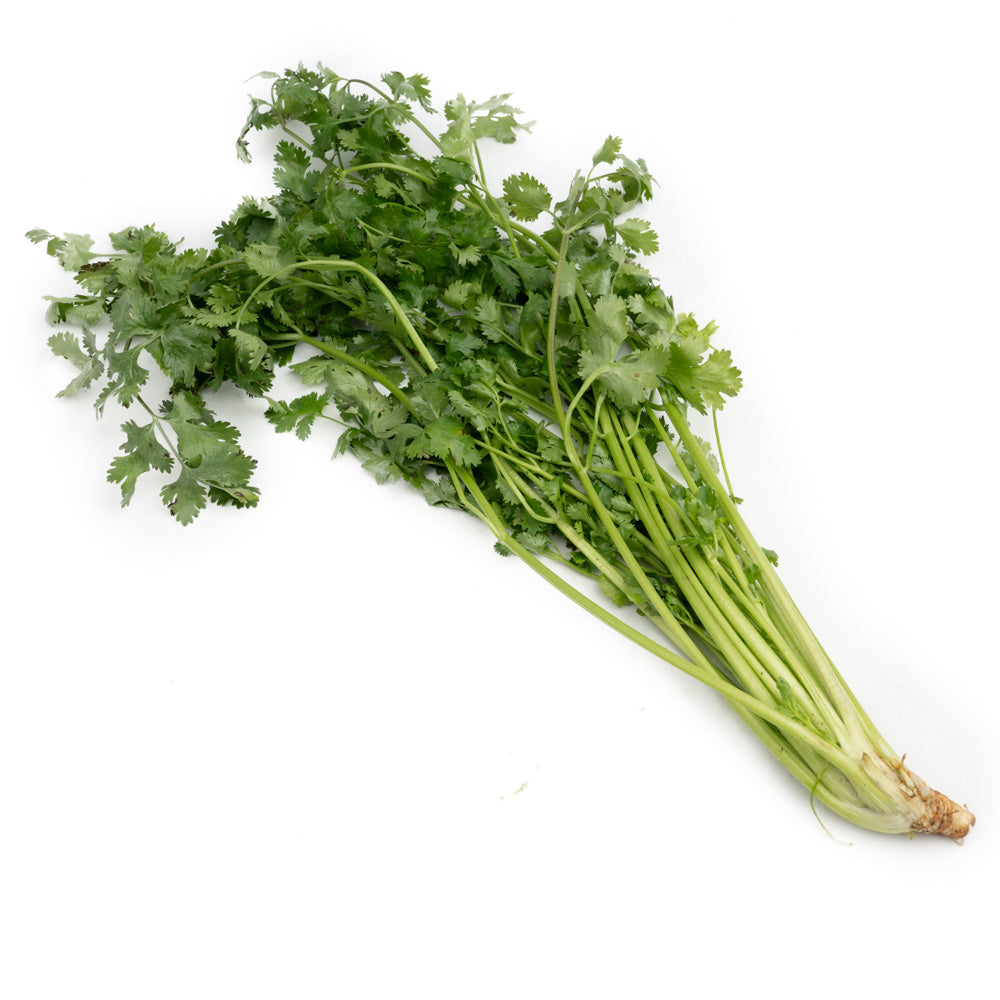 Daun Ketumbar / Cilantro / Coriander Leaf 50gram