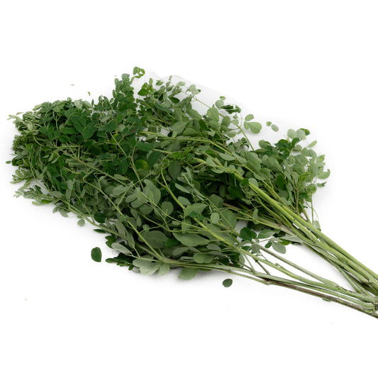 Daun Kelor / Moringa Leaves 100gram