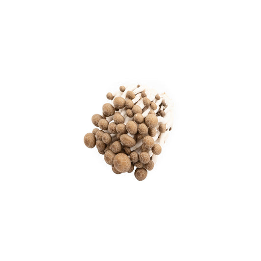 Jamur Shimeji Putih / White Shimeji (Pack 150g)