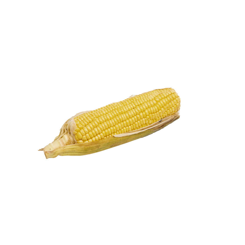 Jagung Manis / Sweet Corn